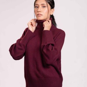essential-cashmere-high-neck-top-image