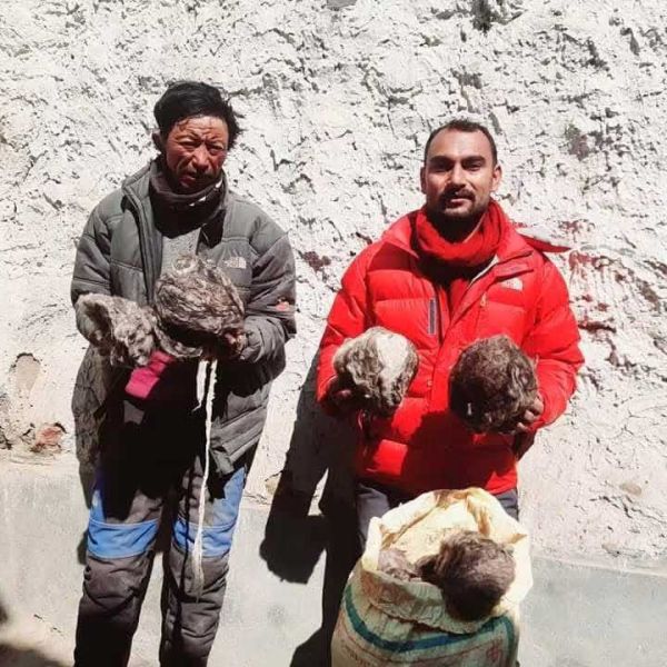 nepal cashmere woman working